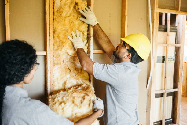 Best Insulation for New Construction  in , WY